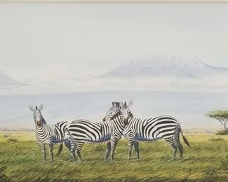 Ng Ang Nganga Ndeveni Zebra Kenya African Landscape