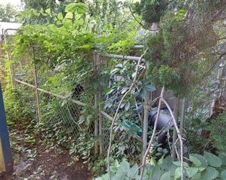 Dog Run with Dogloo - Approximately 12ft by 6ft - Buyer Responsible for Removal, Comes Apart with 2 Brackets on Each Corner