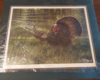 matted turkey print - signed and numbered