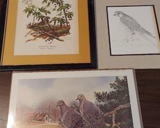 wildlife prints