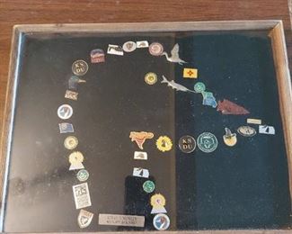 assorted pins in case
