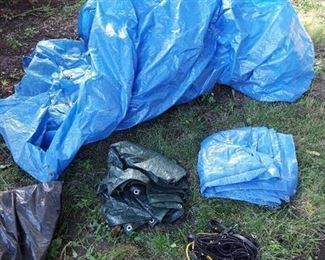 Tarps and Tarp Straps - 1 is Very Large but has Tears