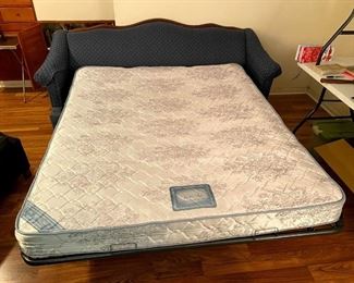 Lovely & comfortable queen size sofa sleeper in excellent condition  PRESALE ITEM - $100