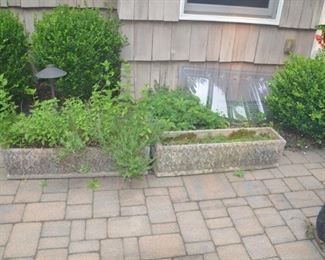 Cement Planters