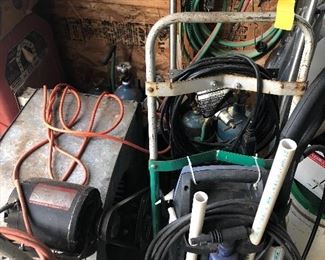 Make sure you look and pick! There is so much to take in. 