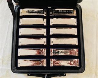 12 HARMONICAS IN CASE