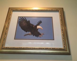 Framed Portrait of Eagle.