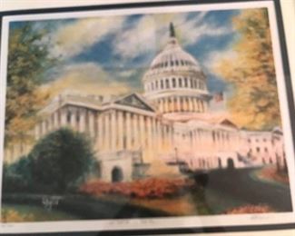 "U.S.A. Capitol in the Spring" by Uimit Sabir.