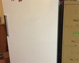 Upright Frigidaire freezer. Works fine.