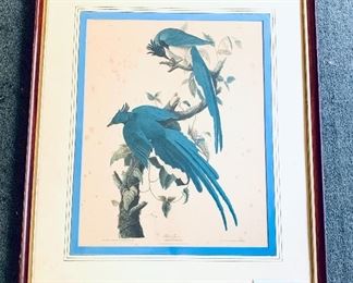 1948 Columbia Jay print 
Discoloration  23”w.  28”t   Framed $130