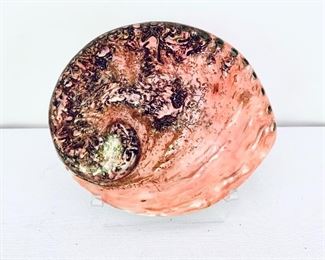 #230-  PINK SHELL ON STAND  6 w
  $35