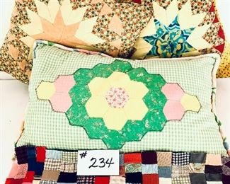 Lot 3 pillows and I quilted pillow cover. 
$25