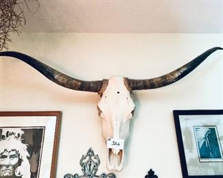 long horn skull. 5’w. 2’t. 
$240