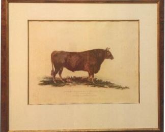 Title:  A Norman Bull