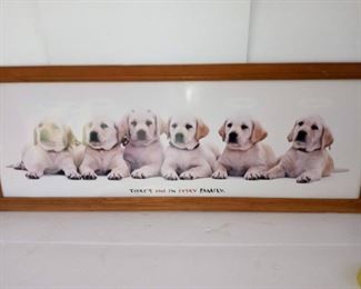 Puppy Dog Poster Print in Frame