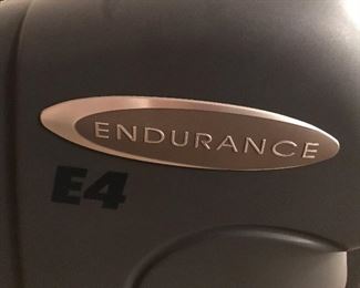 Endurance E4