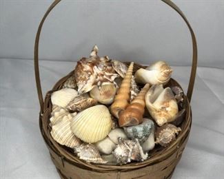 Basket of Seashells
Basket of a variety of Sea Shells