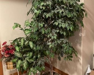 Artificial Plants
Three (3) artificial plants of various sizes. One (1) artificial flowers with stand 40" tall. The stand on its own is 21" tall. One (1) artificial plant 55" tall. One (1) artificial ficus plant, 6' tall.