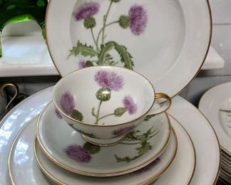 Beautiful set of Hutschenreuther Bavarian china "The Scotch Thistle" Service for 12 plus 