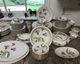 Beautiful set of Hutschenreuther Bavarian china "The Scotch Thistle" Service for 12 plus 