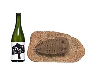 Trilobite Fossil Artifact