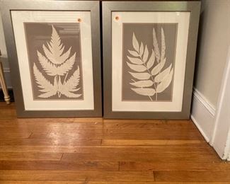 Botanical prints