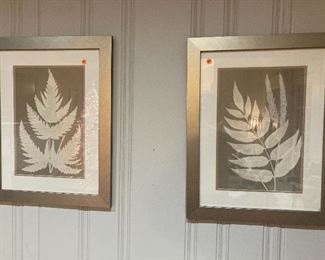 Fern / botanical prints 