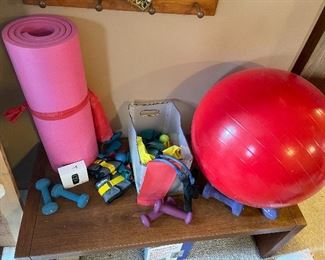 Exercise equipment, hand weights, exercise ball, jump ropes tension bands, mat, etc 