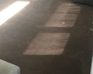 Brown area rug 12.6x17’