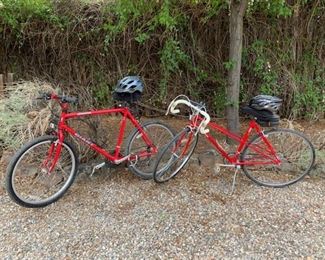 Giant Iguana mountain bike and Bridgestone 400 Sport Touring bike
