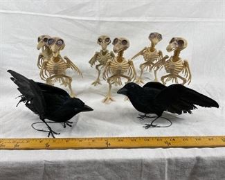 Halloween Creepy Bird Skeletons and a Couple of Ravens