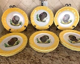 12 turkey  plates made in Italy