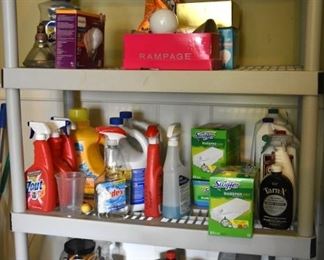 various cleaning supplies