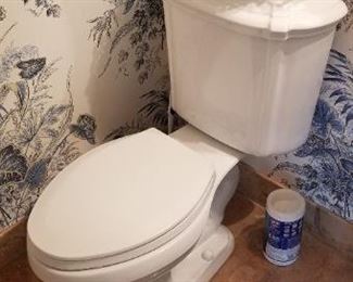 Stylish Kohler toilet