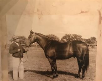 Anyone recognize this horse and handler/trainer? 