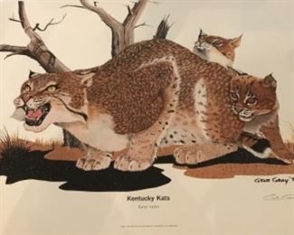 Gene Gray 1975 print Kentucky Kats 