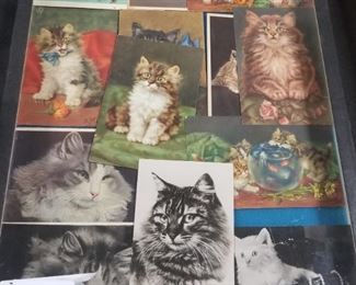 Old Squeaker Cat Postcards 