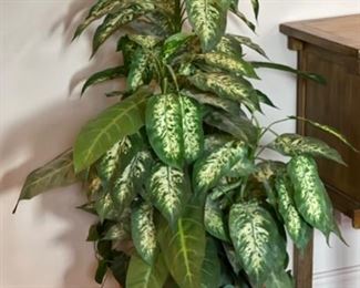 Faux Plant in Terracotta Pot 50in H