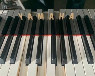 Yamaha G2 Baby Grand Piano w/ Player Black Higloss Finish