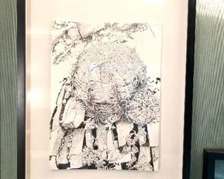 Jim Malone, study of a cactus plant, Texas artist, original pen and ink drawing. 11x15”.