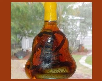 Cobra and Scorpion in a Bottle; Not Everyone has one of these!