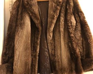 Beaver Coat