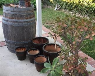 Plants, pots and yard art. 