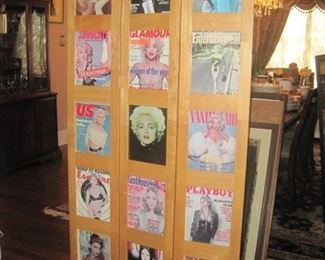 Madonna magazine covers and pictures in room divider