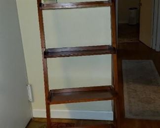 Bookcase/Display Ladder