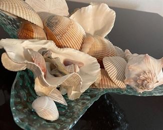 Assorted Sea Shells, Glass Dish Display