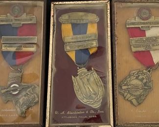 Encased Rifle Expert Trophy