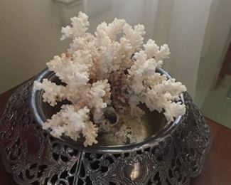Coral in bowl.