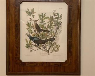 Print - 24x28 - Audubon '37