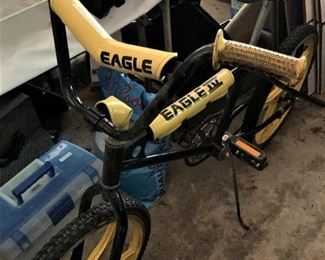 Eagle bike